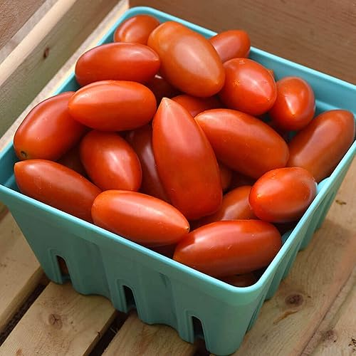 Miniatura 3 de Park Seed Lemon Drop - Semillas de tomate cereza híbridas F1 mejoradas, amarillo brillante y dulce, paquete de 30 semillas