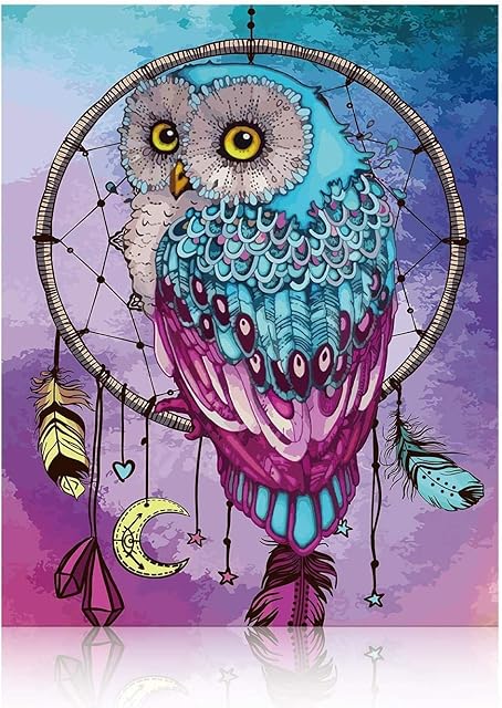 Gronda Painting by Numbers for Adults Beginner Dreamcatcher Owl 16x20 Inches (Without Frame) Animal DIY Colour by Numbers Canvas Creative Gifts