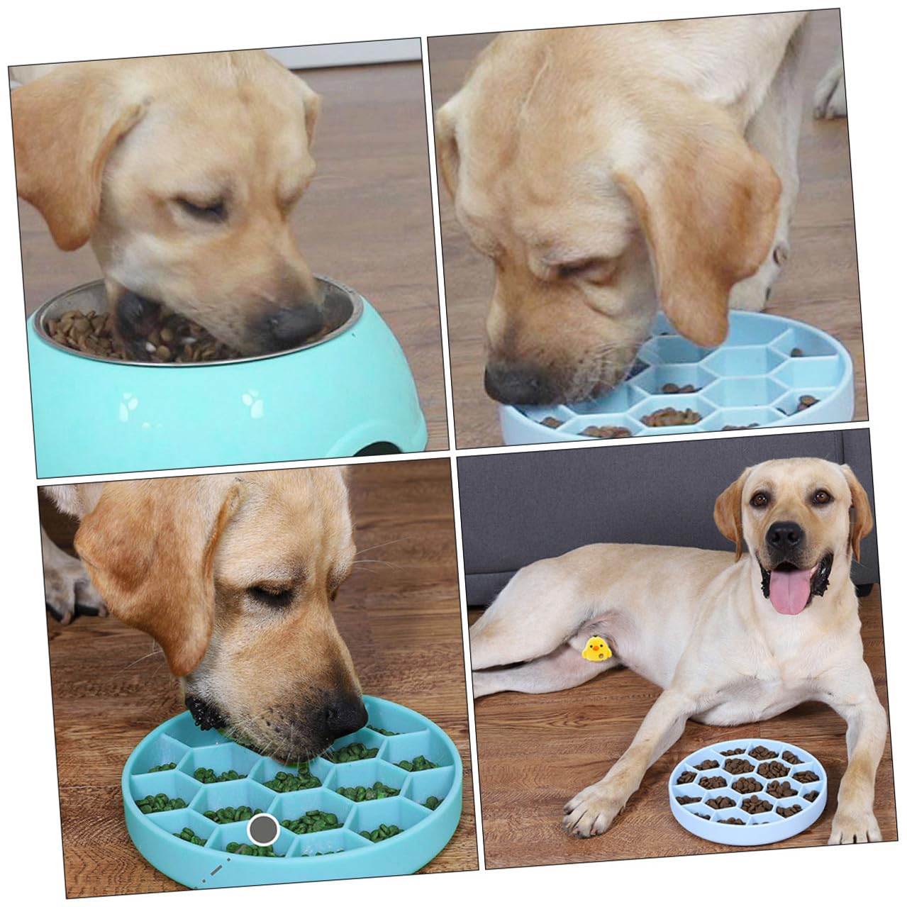 Hundefutternapf mit Langsamer Fütterung aus Silikon, Blau