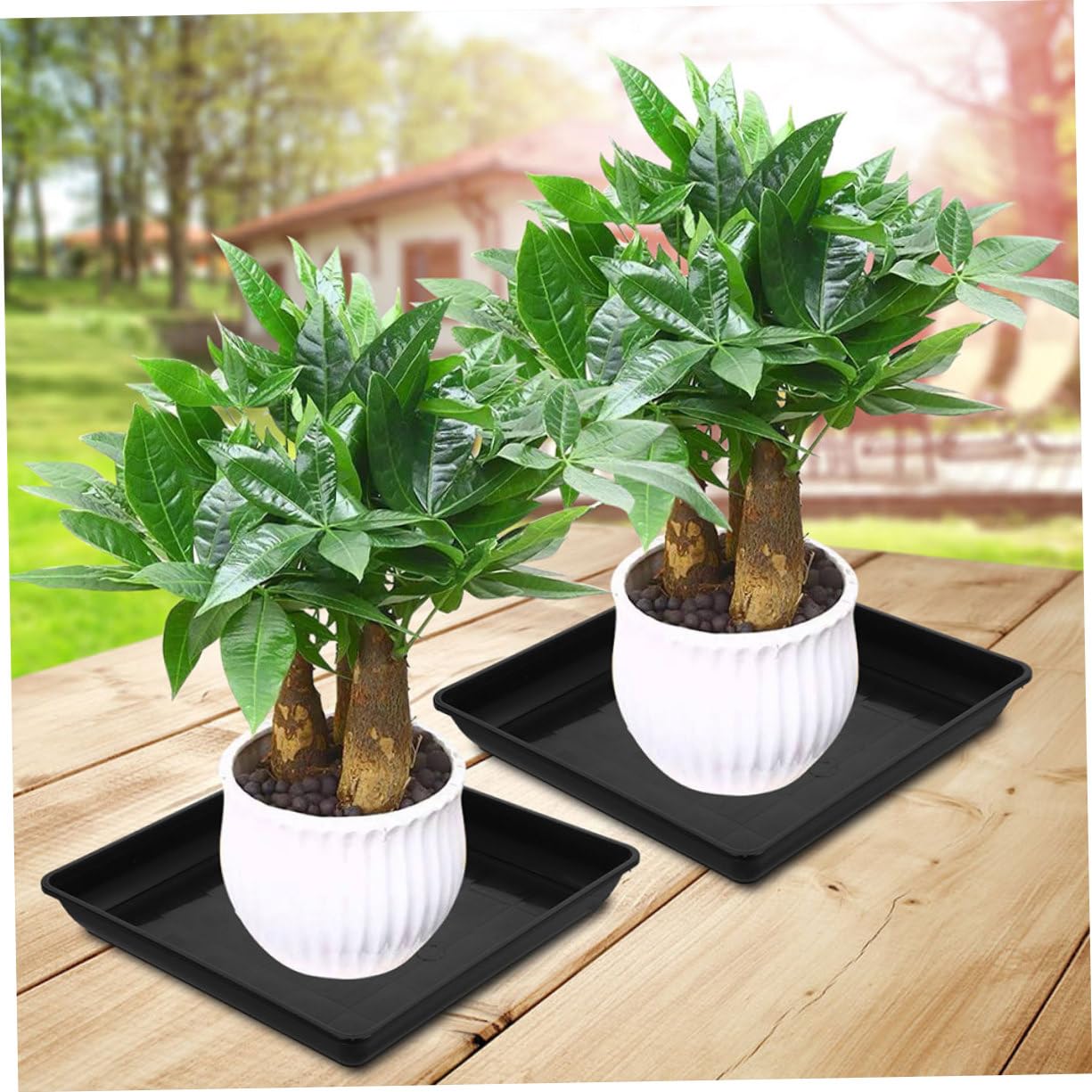 Fioriere Plastica Set 3 Vasi Piante 2friends - 28x28cm 16L Antracite Con Sottovaso Fioriere Esterne Resistenti Gelo - Foto 4