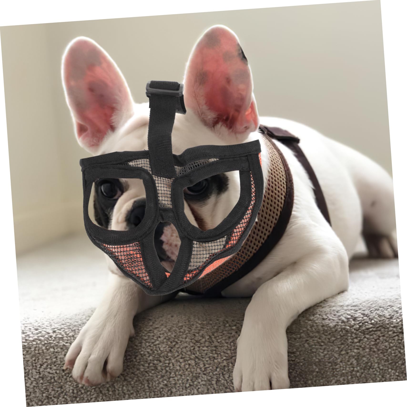 BESPORTBLE 3pièces Muselière Respirante pour Chiens Muselière Ajustable Anti-aboiement pour Confort Optimal Animaux De Compagnie