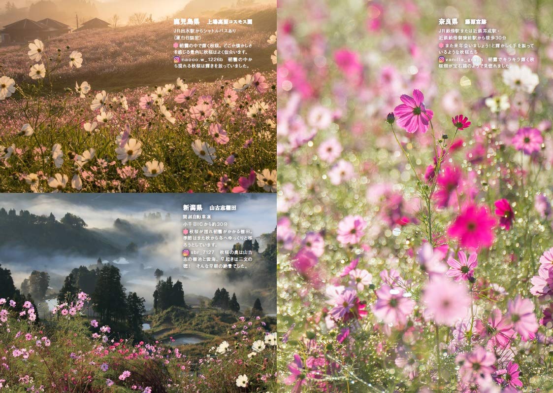 100年後まで残したい 日本の美しい花風景 はなまっぷ本 はなまっぷ 配送料無料