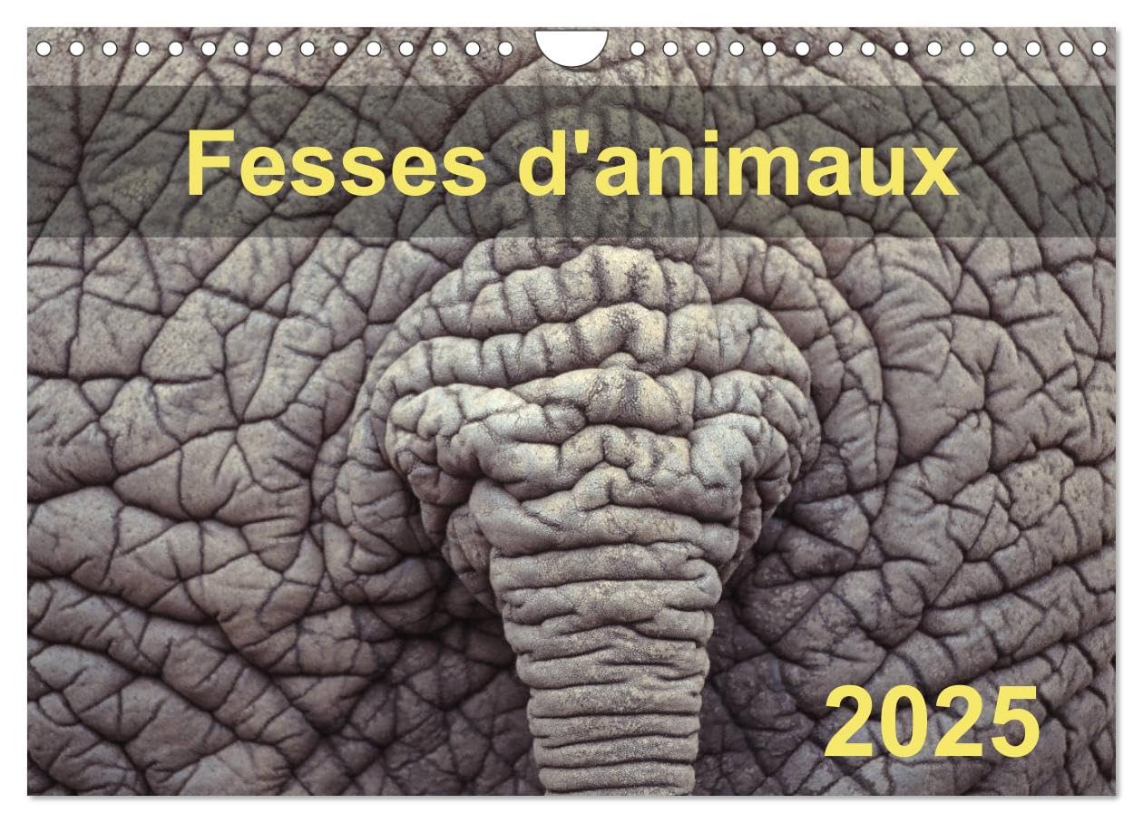 Fesses d'animaux (Calendrier mural 2025 DIN A4 horizontal), CALVENDO calendrier mensuel