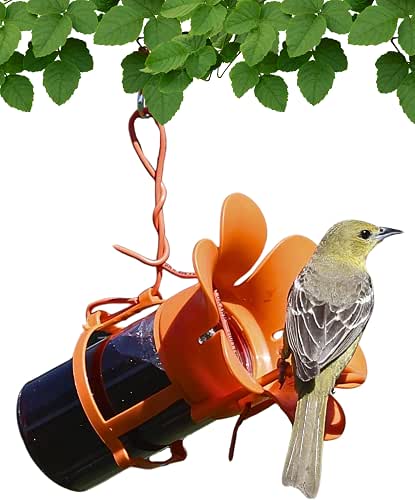 Songbird Essentials Jelly Bird Feeder, Oriole Feeder, Easy to Fill