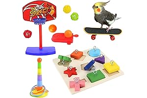 JSLZF Bird Skateboard Training Toy: Enhancing Cognitive Development for Feathered Companions