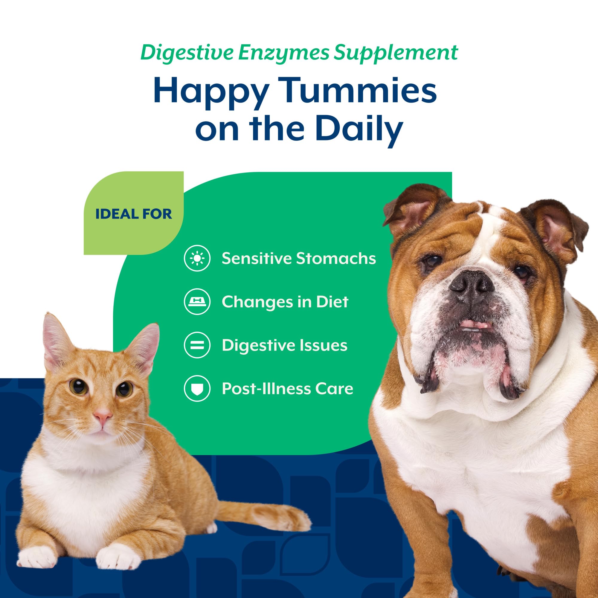NaturVet – Digestive Enzymes - Plus Probiotics & Prebiotics – Helps Support Diet Change & A Healthy Digestive Tract – for Dogs & Cats – 1 lb Powder - image 4