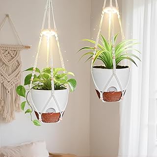 2 Pack Hanging Planters with Grow Light for Indoor Plants, 10” Self Wa...