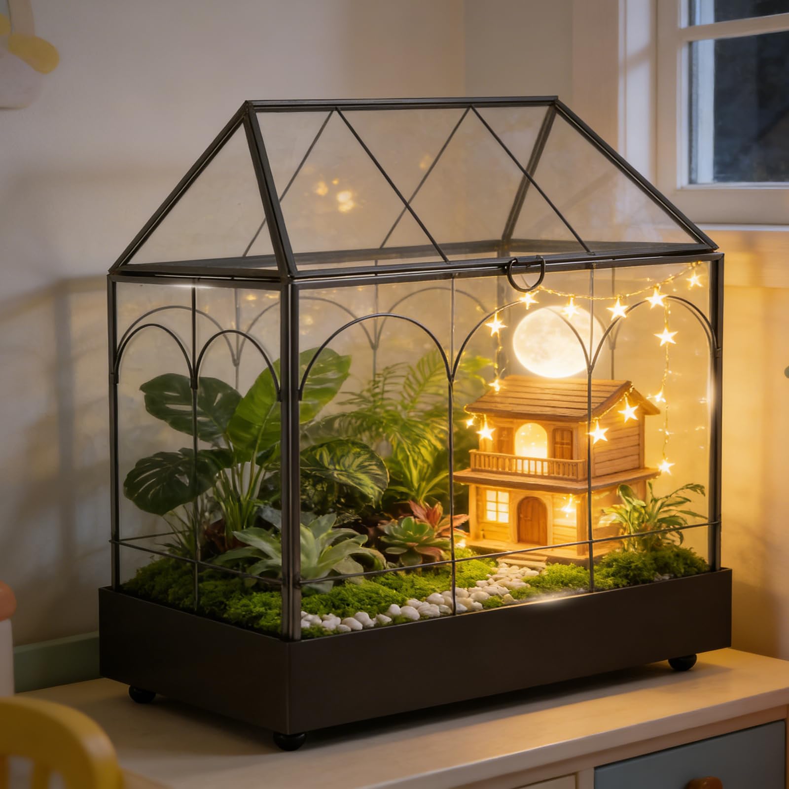 Terrario para plantas, 24,2 x 14,7 x 29 cm, cristal geométrico con bandeja recogedora, microcaja cerrada para suculentas, helecho (sin plantas)