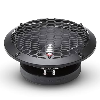 Amazon.com: Rockford Fosgate PPS4-8 Punch Pro Single 8