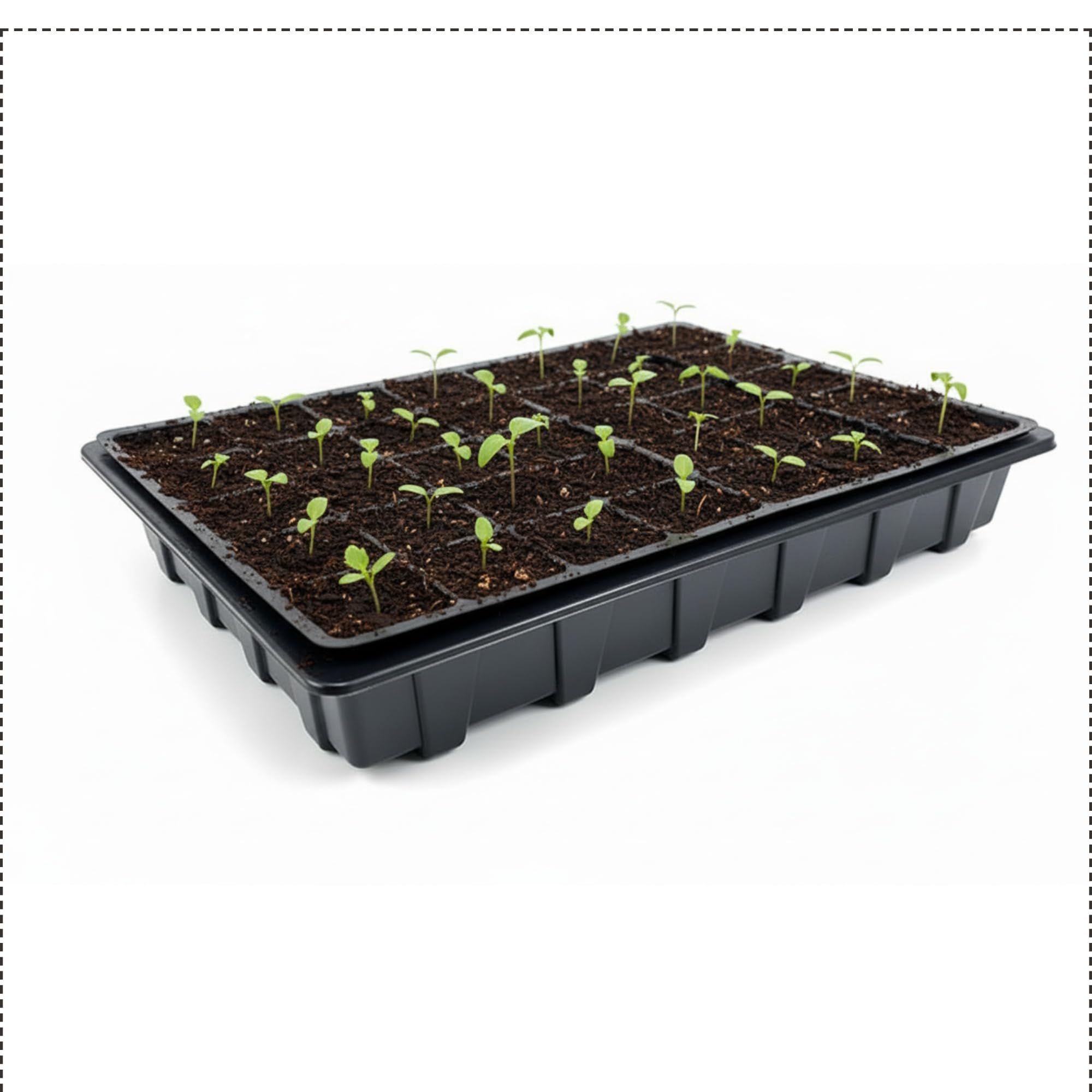 Nutley's Black Seed Tray (With Or Without Holes) + 40 Or 24 Cell Inserts (10, 40-Cell With Holes)