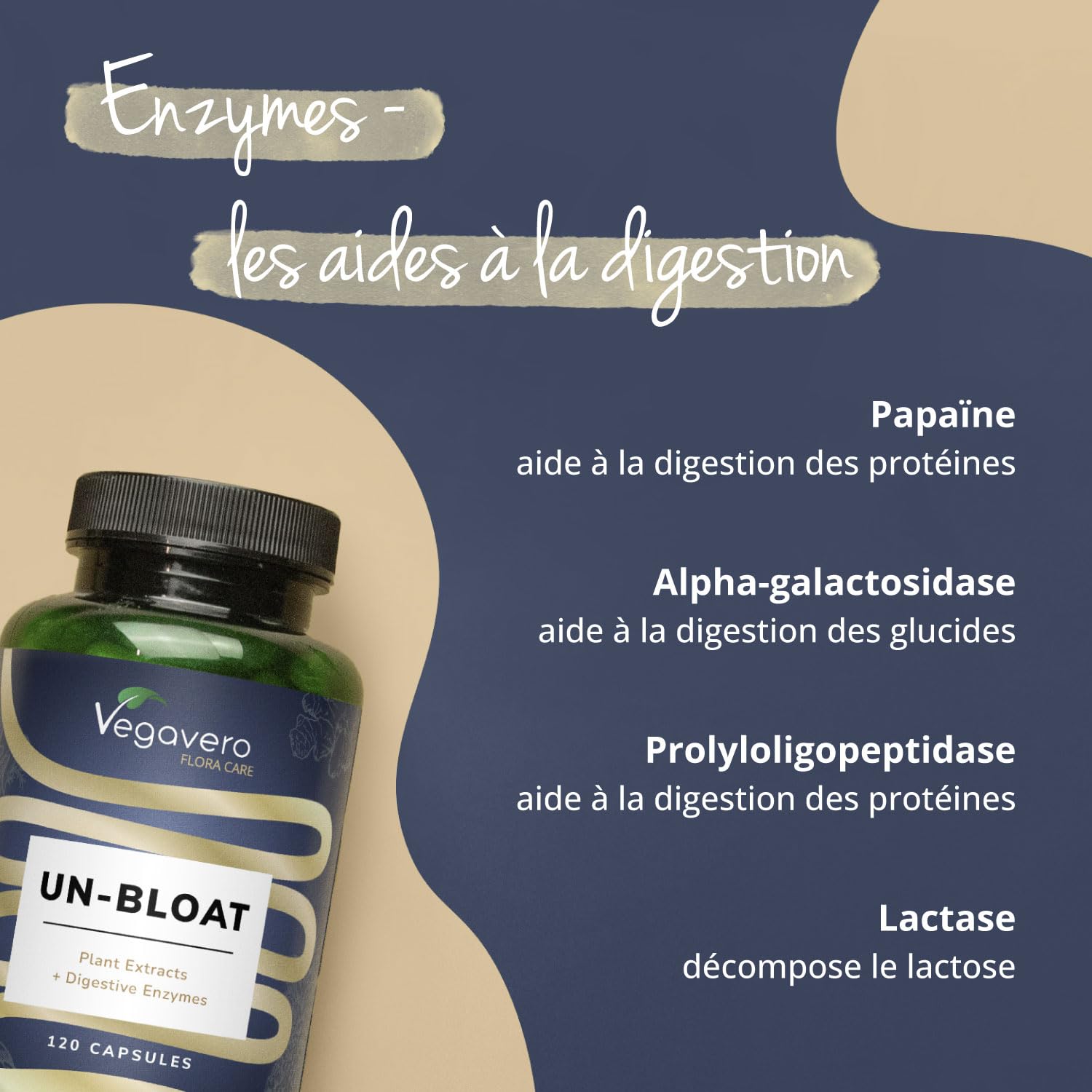 Un-Bloat Vegavero® | Complexe Anti Ballonnements + Digestion | Avec Enzymes Digestives + Extraits de Plantes | Sans Additifs & Vegan