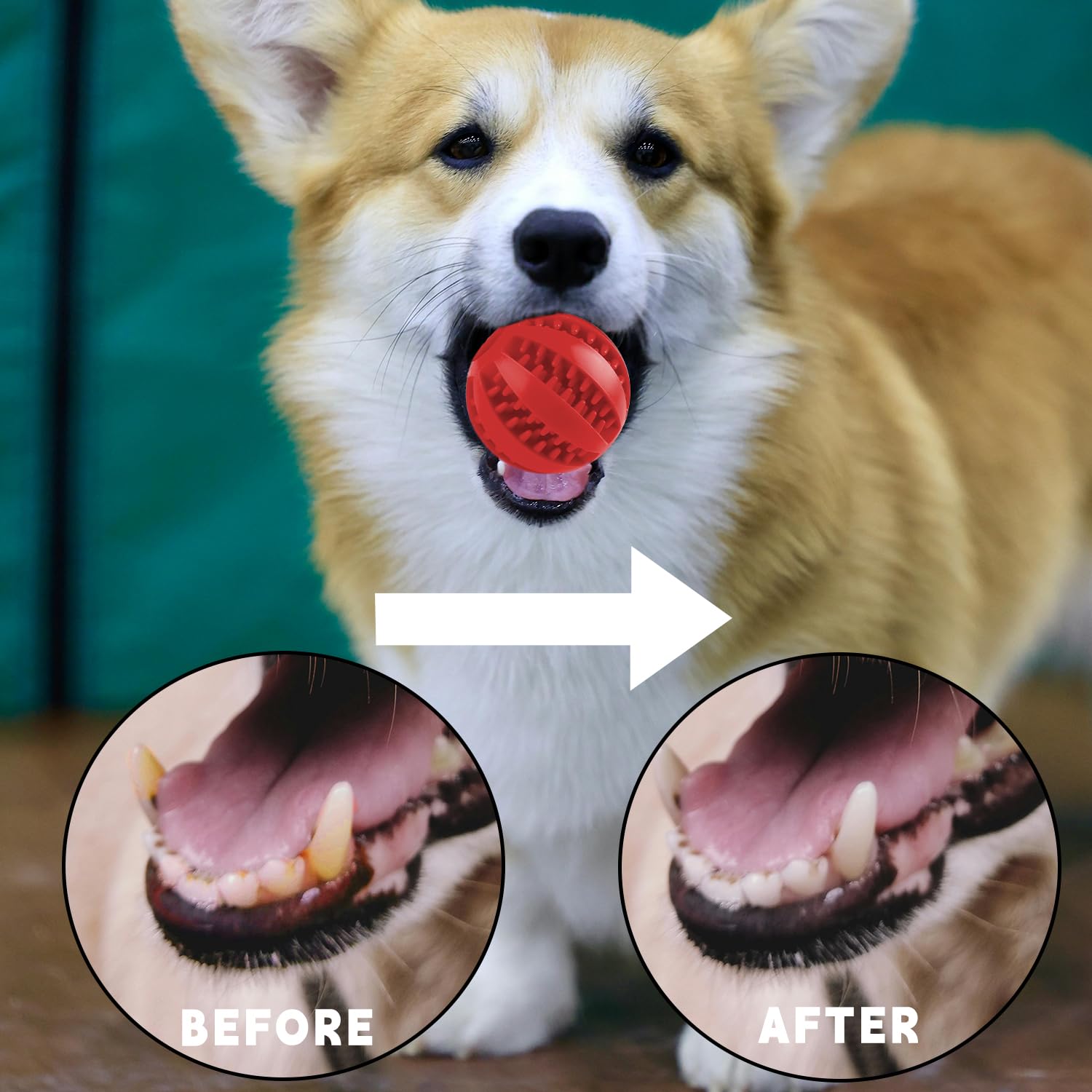 Bojueshaw 2pcs Dog Treat Ball Toys,Interactive Puzzle Chew Toys for Teeth Cleaning,IQ Training & Boredom Relief,Rubber Treat Dispenser for Small Medium Dog - Image 4