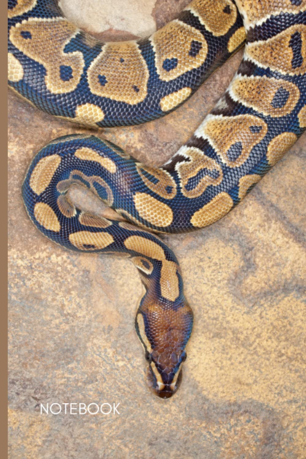Ball Python Snake Notebook: Cute Ball Python Lined Journal, The Perfect Novelty Snake Gift for a Anyone who Loves Royal Pythons, Ball Pythons or Snakes