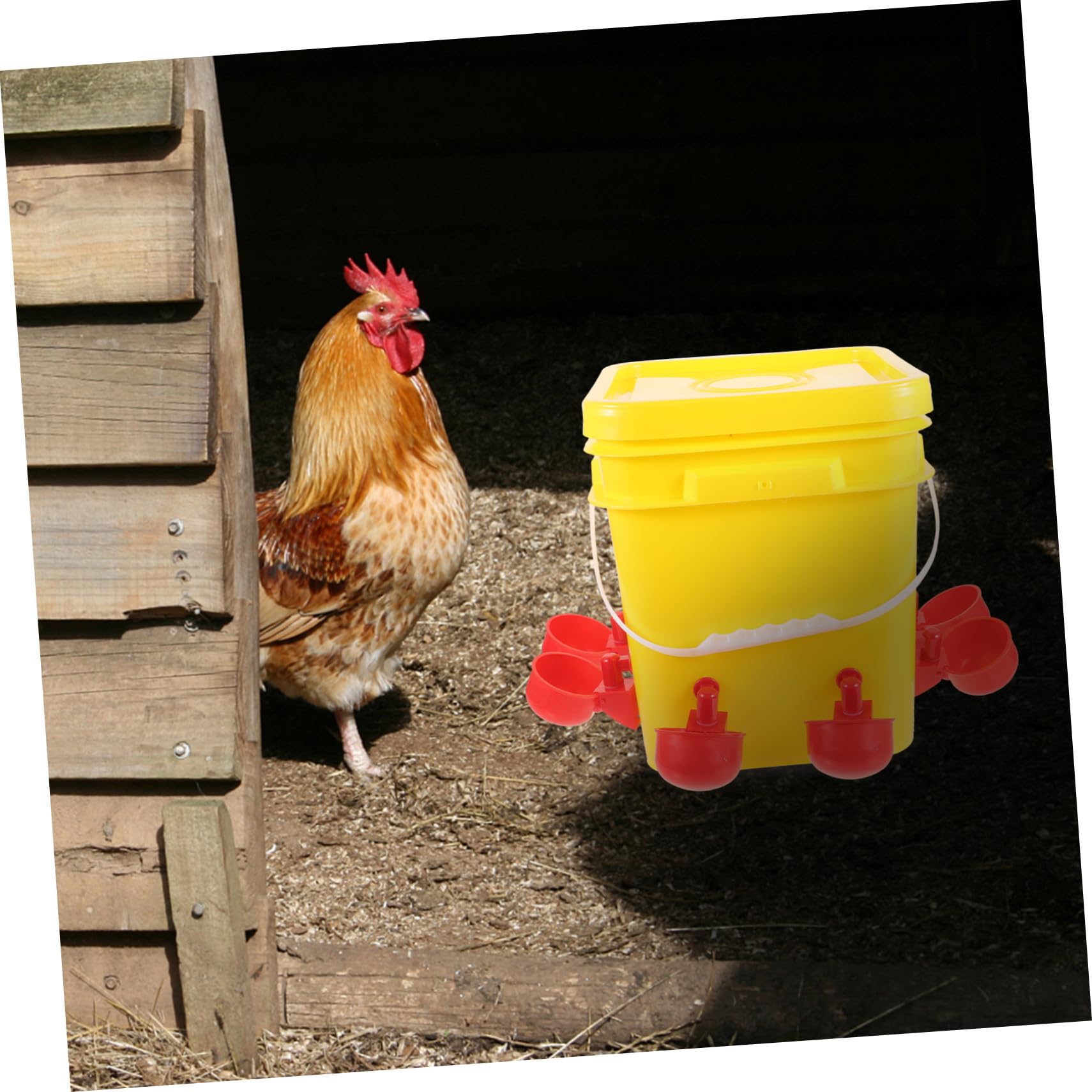 GALPADA Mangiatoia Automatica Scomparti Multipli in PE Giallo 12l per Pollame Facile da Pulire e Riutilizzabile per Alimentazione All'aperto di Galline e Pulcini