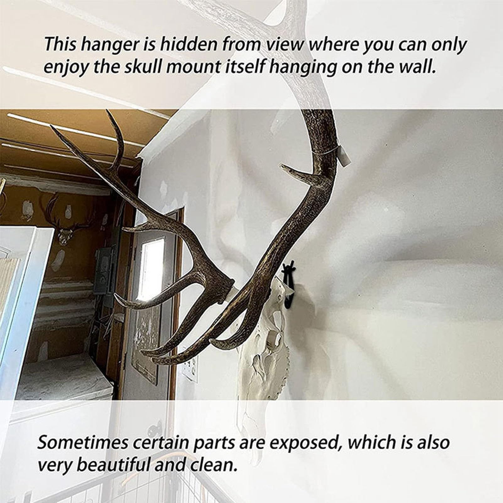 QANYEGN 6Pcs European Wall Hanger Hanger, ler Wall Mot Bracket Hanger, European Skull Hooks for Hanging and Moting Bears, Deer, icorns and Smaller Skulls