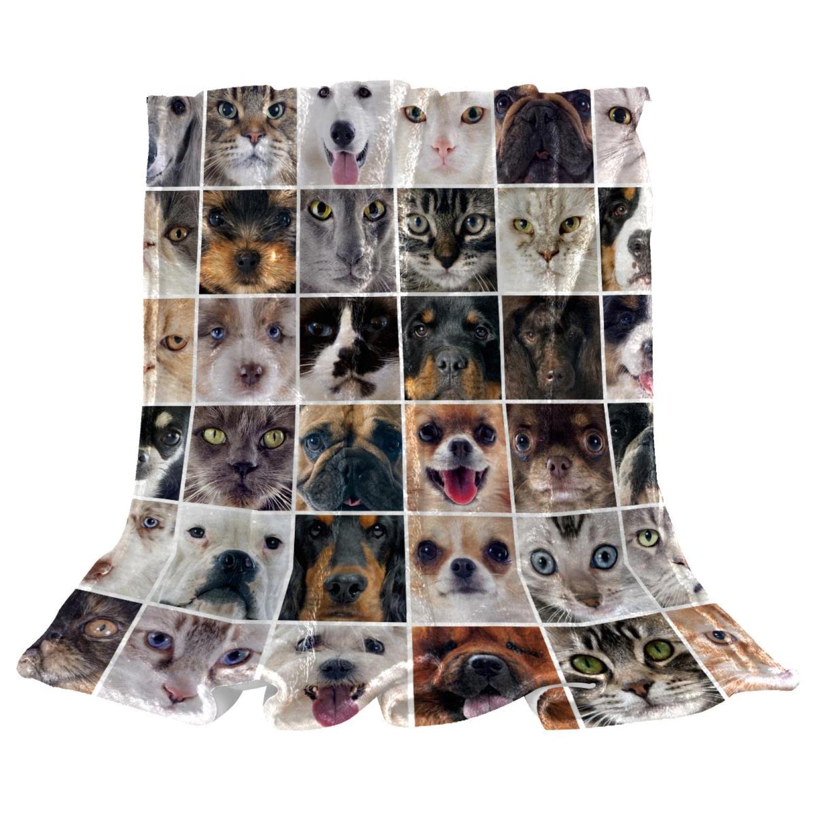 Group of Dogs and Cats Couverture polaire légère en peluche pour canapé