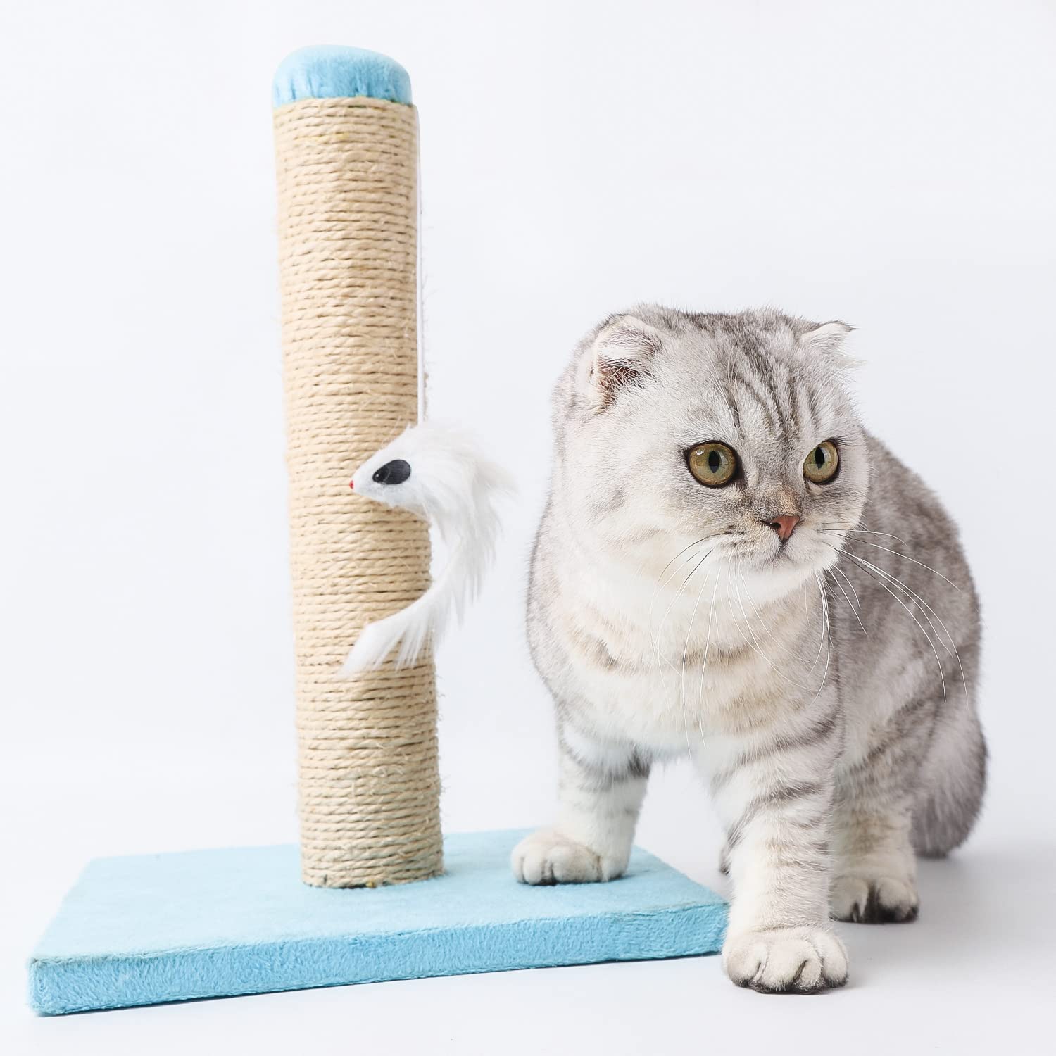 Nobleza - Tiragraffi per gatti,Albero rampicante per Gatti con tirgraffi e Gattino per Far divertire Il Tuo Gatto, Blu, 25 * 25 * 35cm