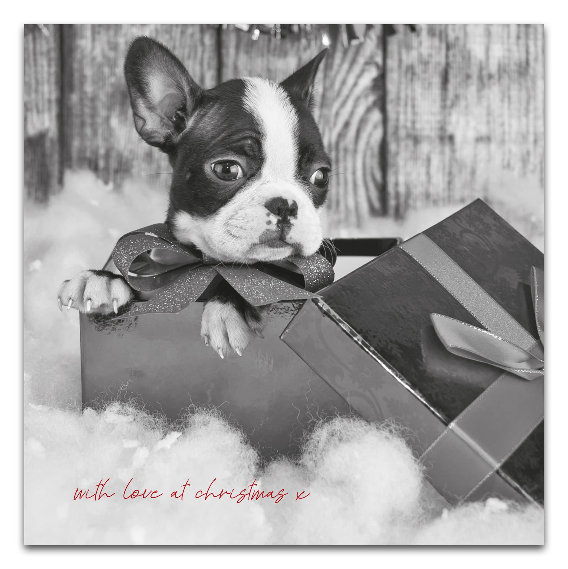 Emotional Rescue Christmas Card from the Dog