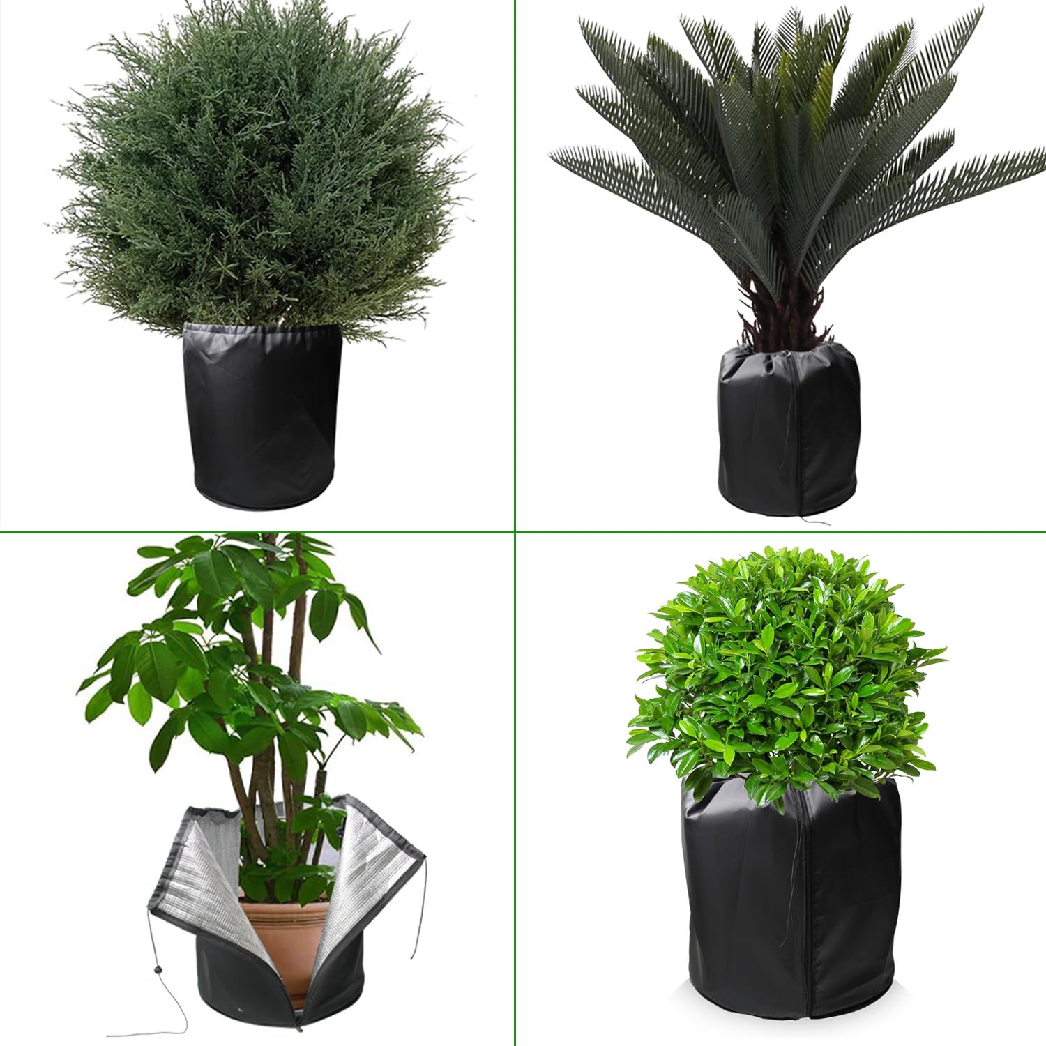 Protezione Invernale Per Piante In Vaso – Copertura Antigelo 50x45 Cm, Riutilizzabile, Antivento E Anti-UV