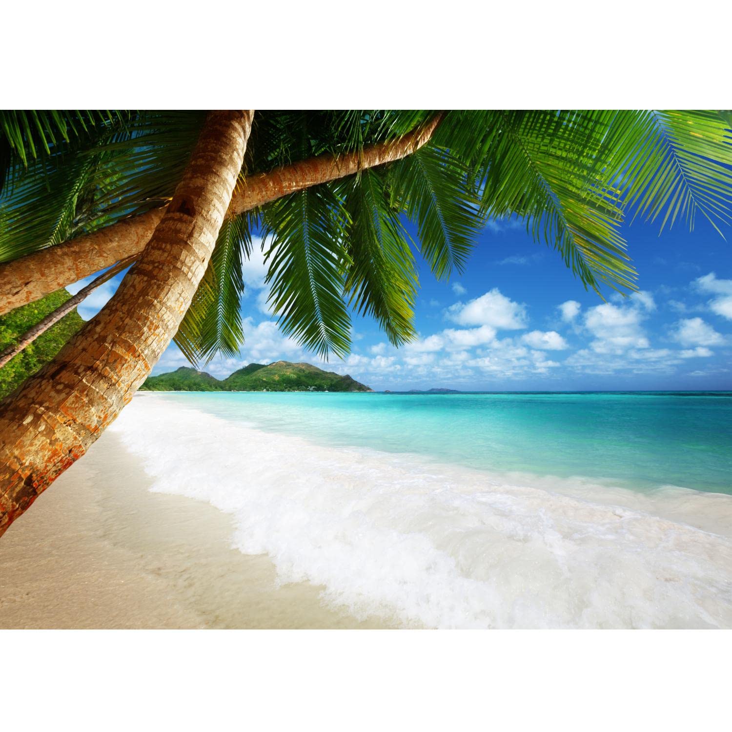 Runa Art B Wallpaper 396 X 280 Cm Each And Sea Palm Trees Non-Woven Decoration Print Wall Mural Living Room - Made In Germany - Green Lue 9004012