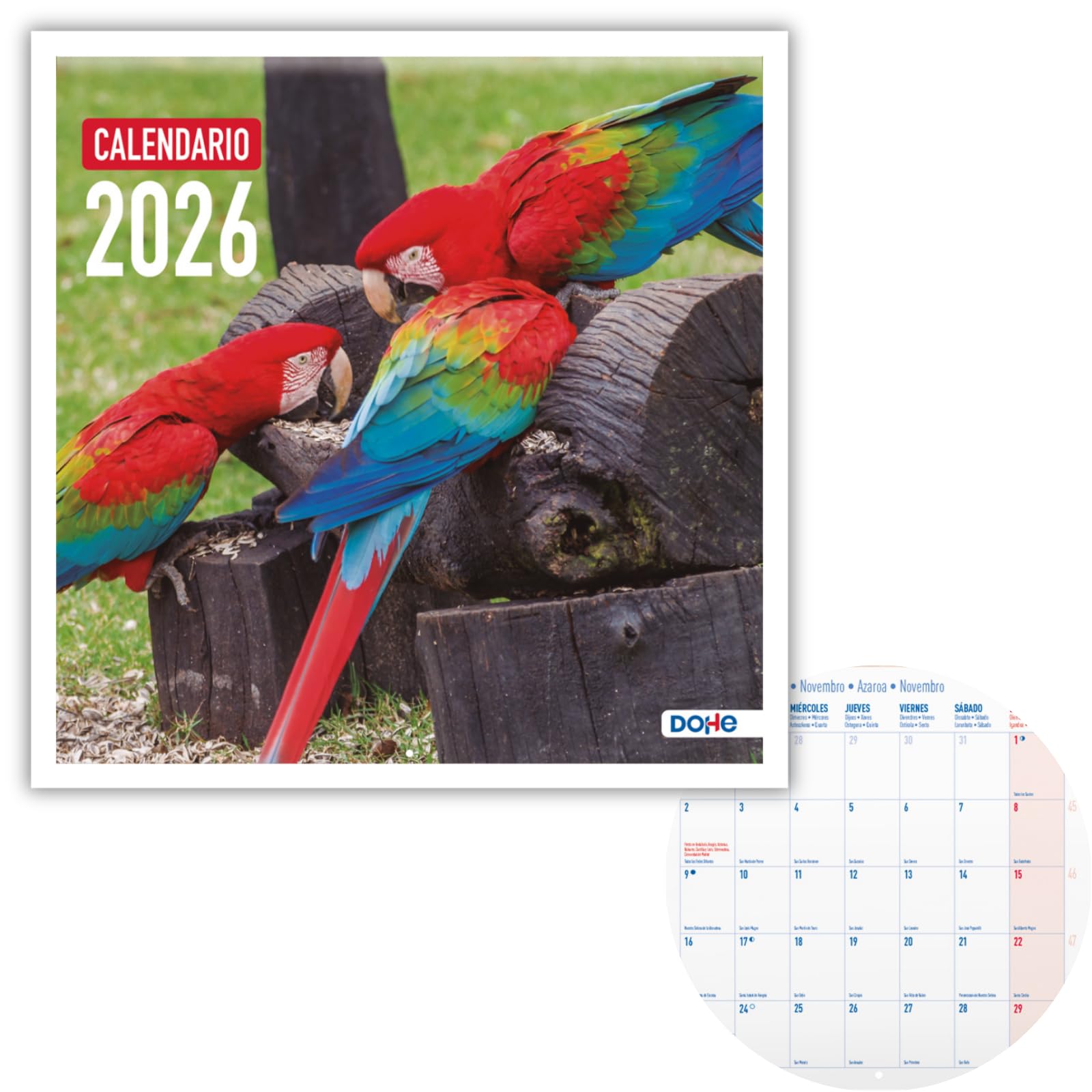 Dohe - 2026 Wall Calendar - 12 Months January to December, Month View, 30x30 cm, Spanish Language, Staple Binding, Space for Notes, Year Planning, Thick Paper 120 g/m² - Exotic Birds