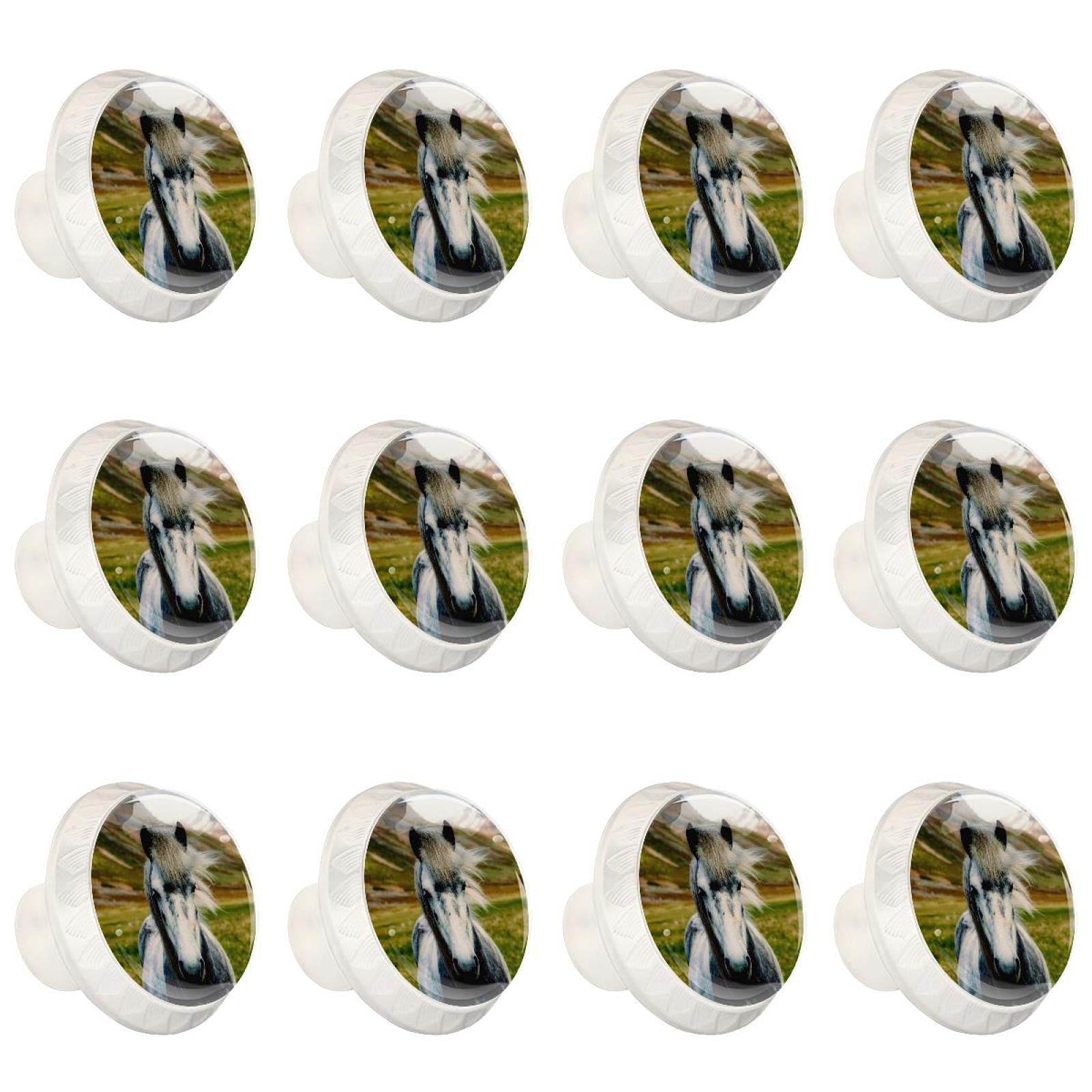 Boutons d'armoires de cuisine pour remplacer poignée de placard cheval