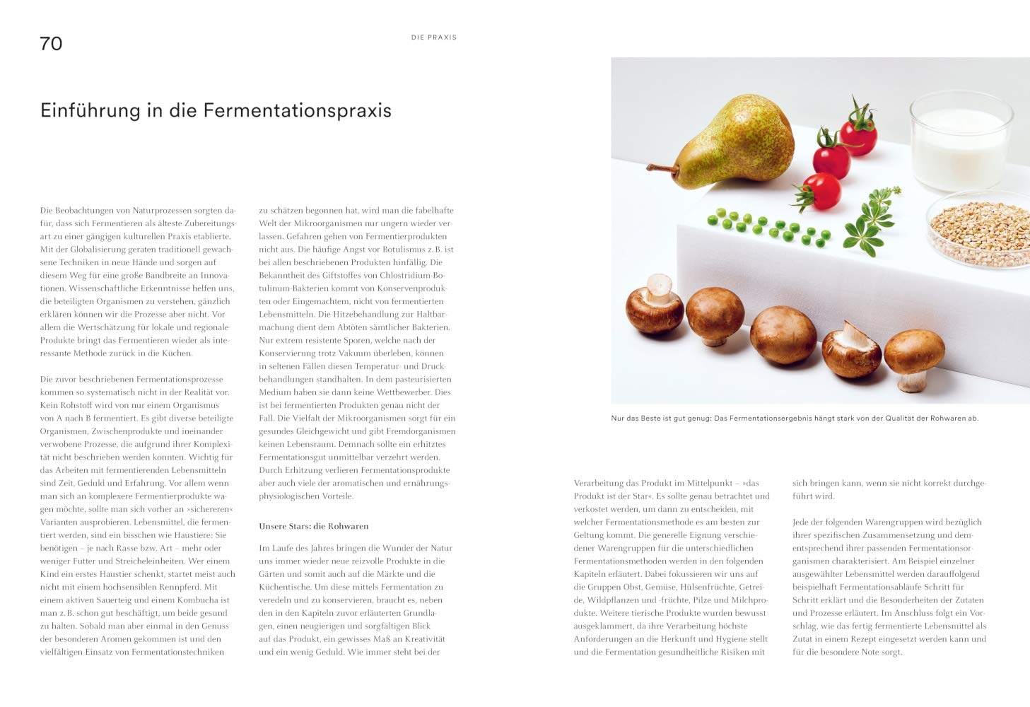 Fermentieren: Gekonnt kochen (Genießerküche)