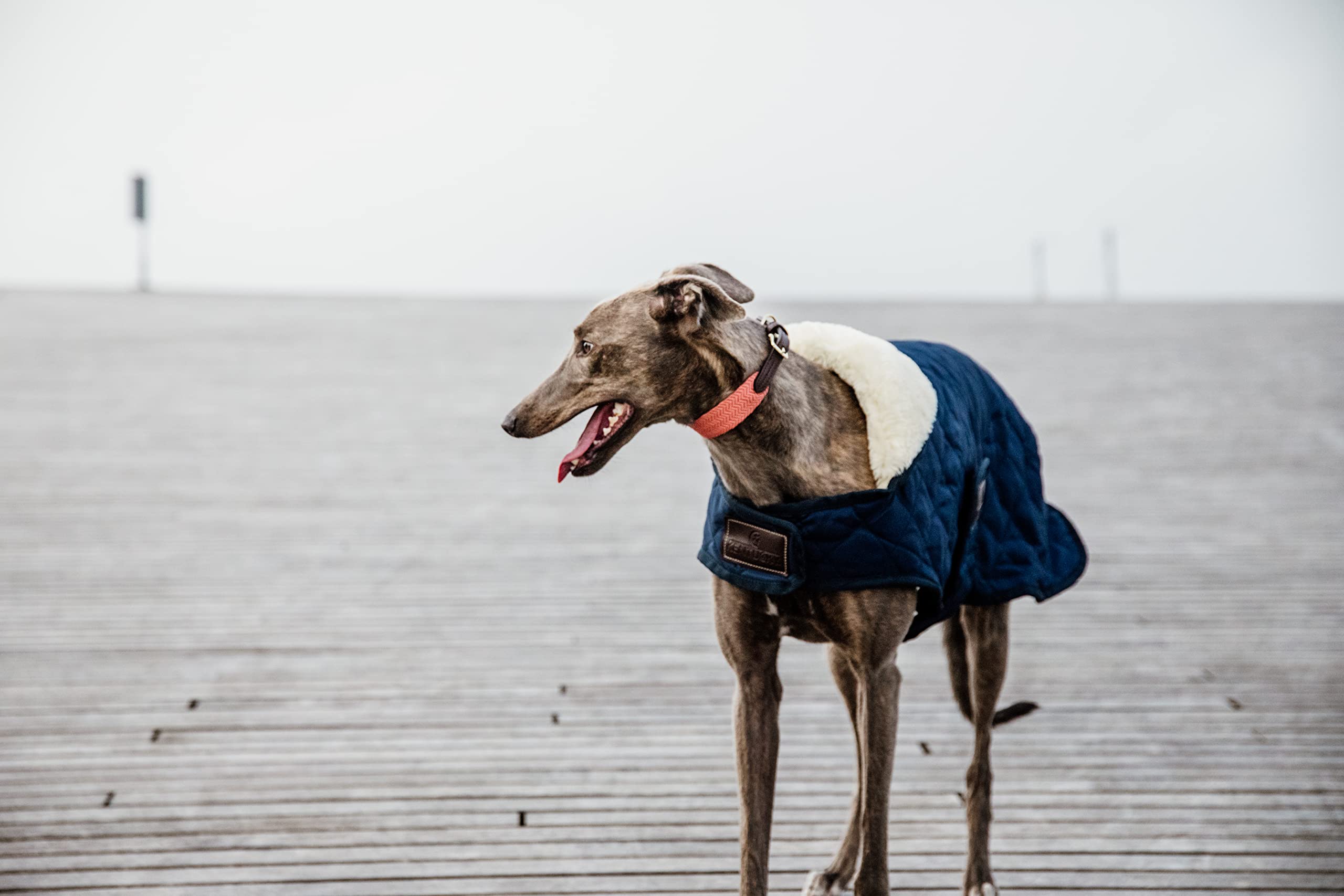 Kentucky - Hundemantel - Marineblau - L - 51-59cm