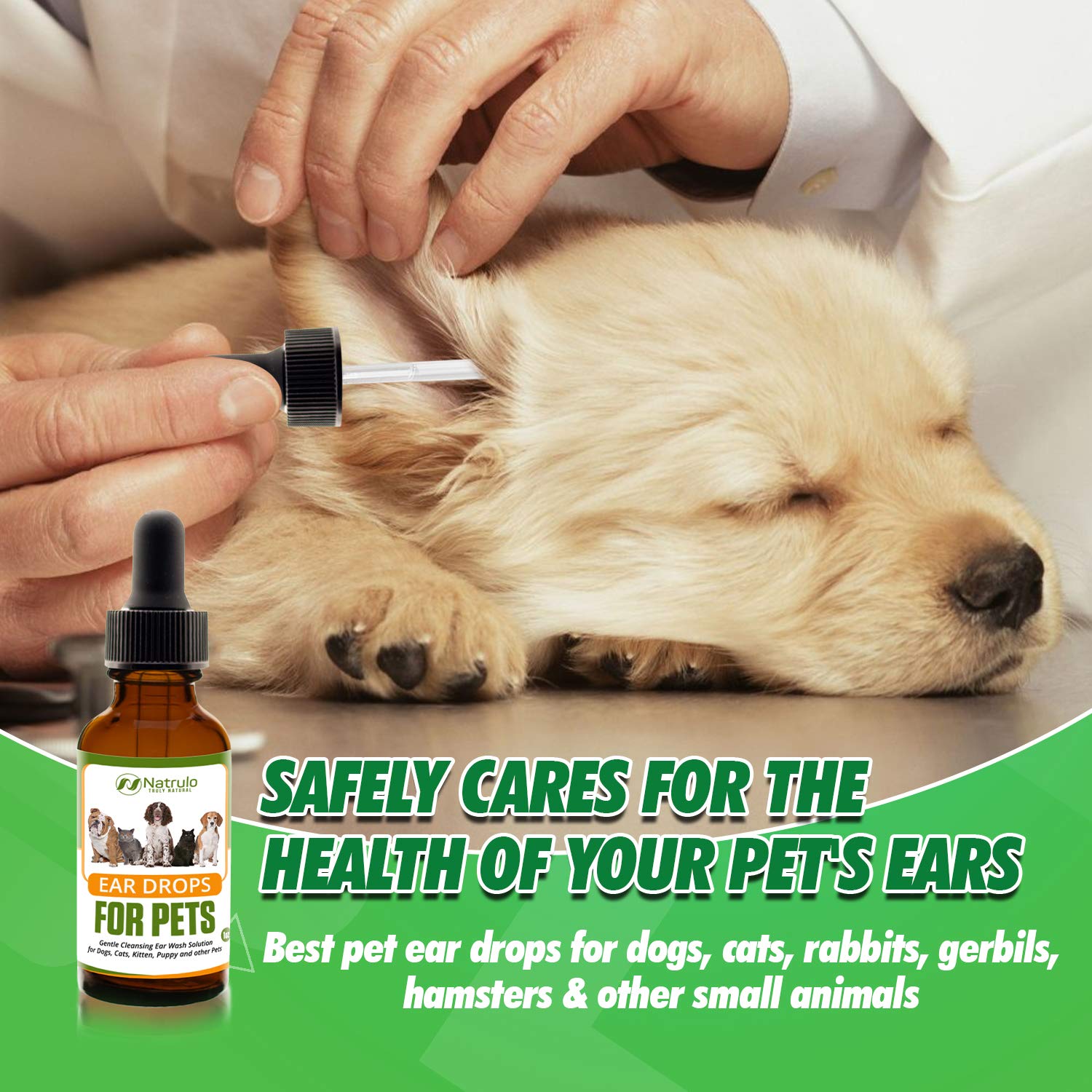 Natural Ear Cleaner for Dogs, Cats, Kitten, Puppy – Gentle Cleansing Ear Wash Solution Mite Infection & Yeast Treatment for Pets – Drying, Healing Medicinal Ear Cleaning Drops Made in USA - image 6