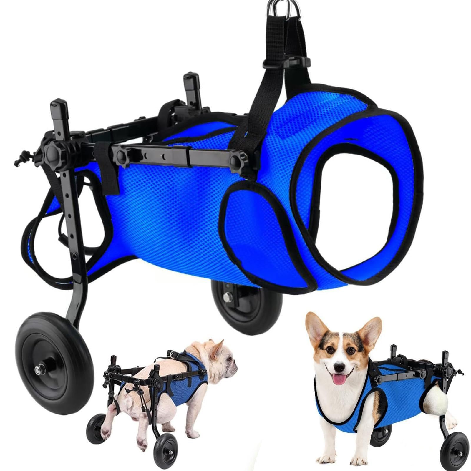 Fauteuil roulant réglable pour chien offrant une aide à la mobilité et soutien de la hanche