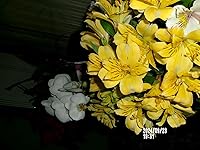 Review Image by Lina Marcela Prieto Lina Marcela Prieto