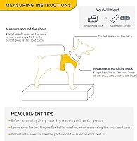 Vista 6 de Dog Harness and Leash Set, Adjustable Dog Harness, Dog Leash, No Pull No Choke Puppy Harnesses for Walking Training for Small Medium Pet Palta