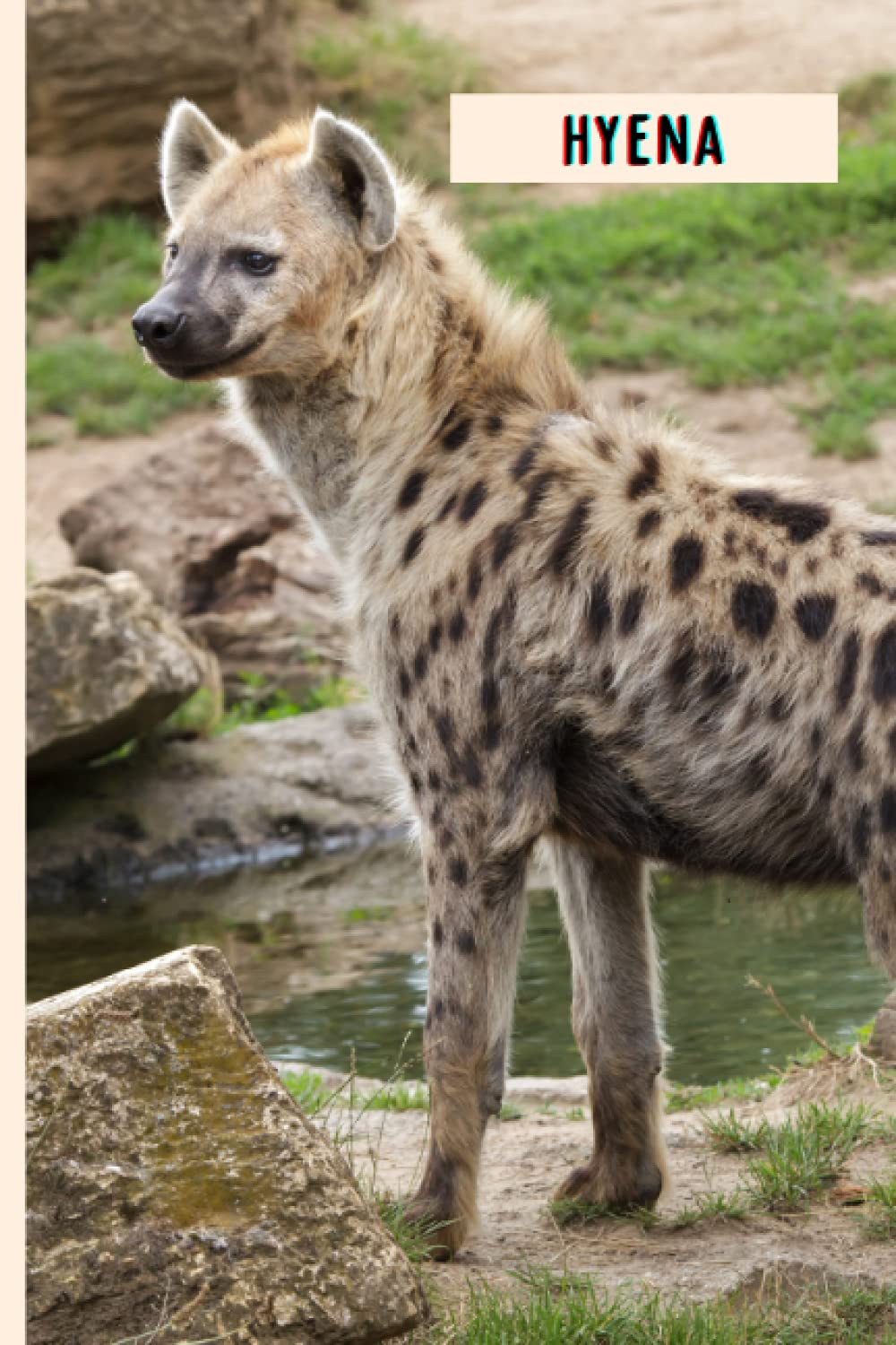 Hyena: Perfect Hyena Journal for Memories And Notes , Hyena Notebook ( 110 Pages, 6x9 )