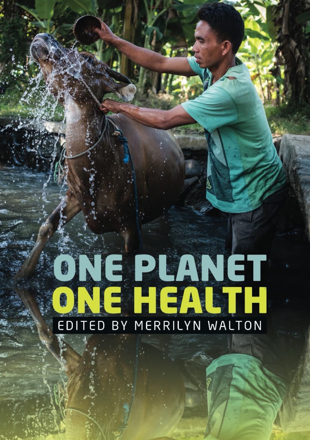 Buy One Planet, One Health (Public and Social Policy Series) — BookShops.in