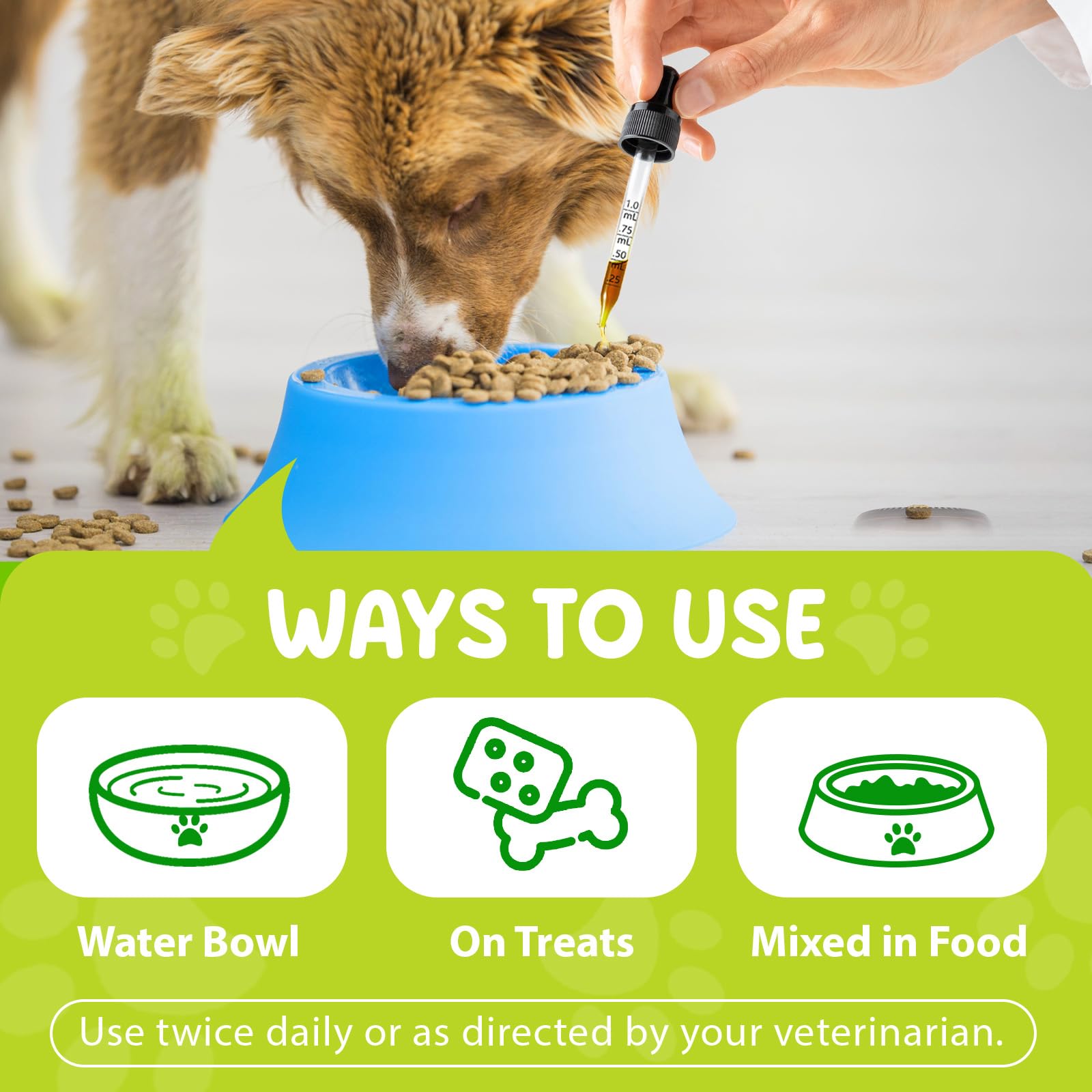 LEISGOTO Yeast Infection Treatment for Dogs Dog Yeast Infection Drops for Dog Skin Itch Relief Dog Allergy Relief - Image 4