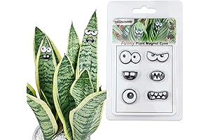 Monster Magnet Eyes for Potted Plants: They'll Plant Amazing Smiles on Any Face!
