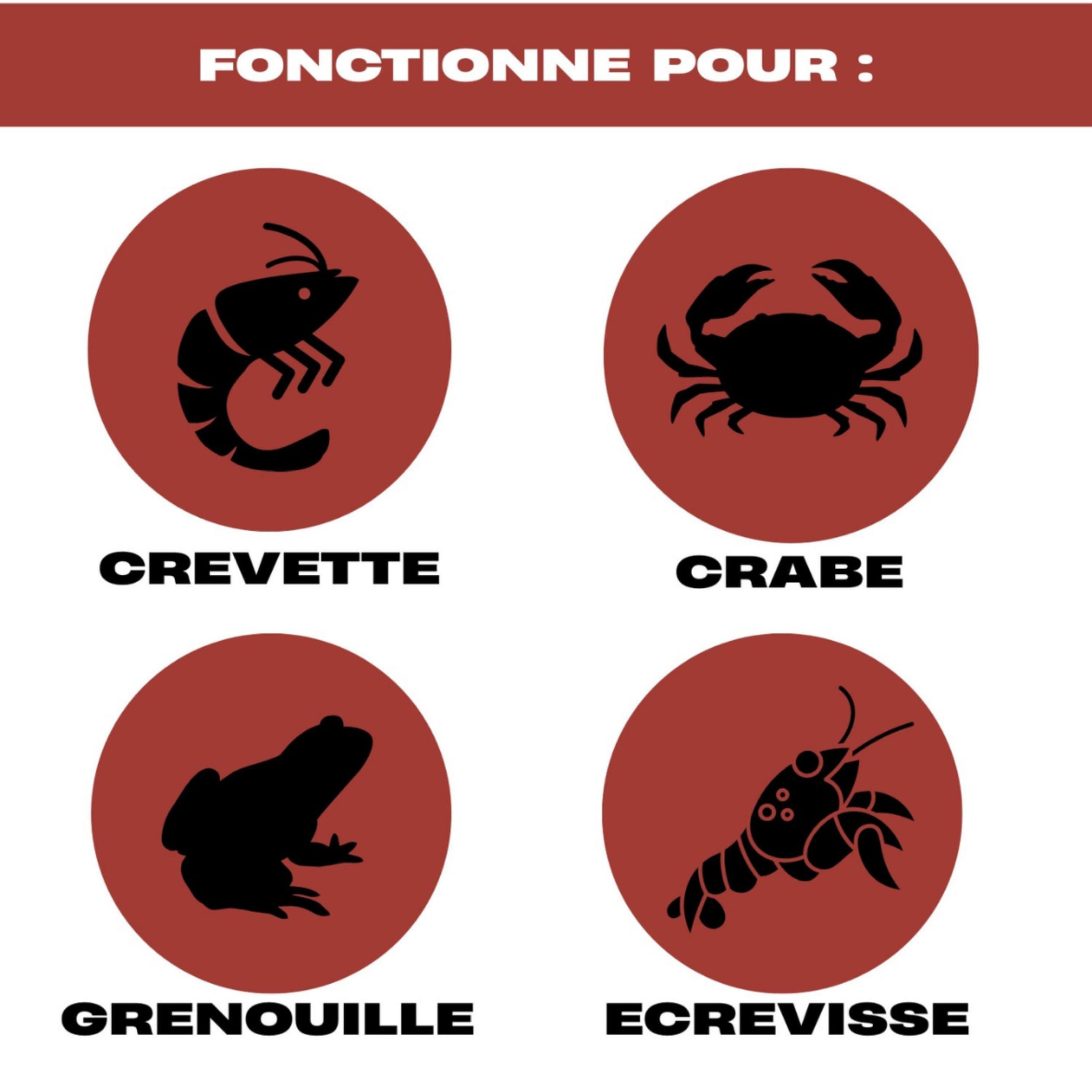 Lot De 3 Nasses À Écrevisses - Grand Diamètre - Corde 4,5m - Épingle À Appât – pour Pêche en Lac, Rivière Ou Étang – Filets De Capture D’écrevisses, Crabes Et Crevettes