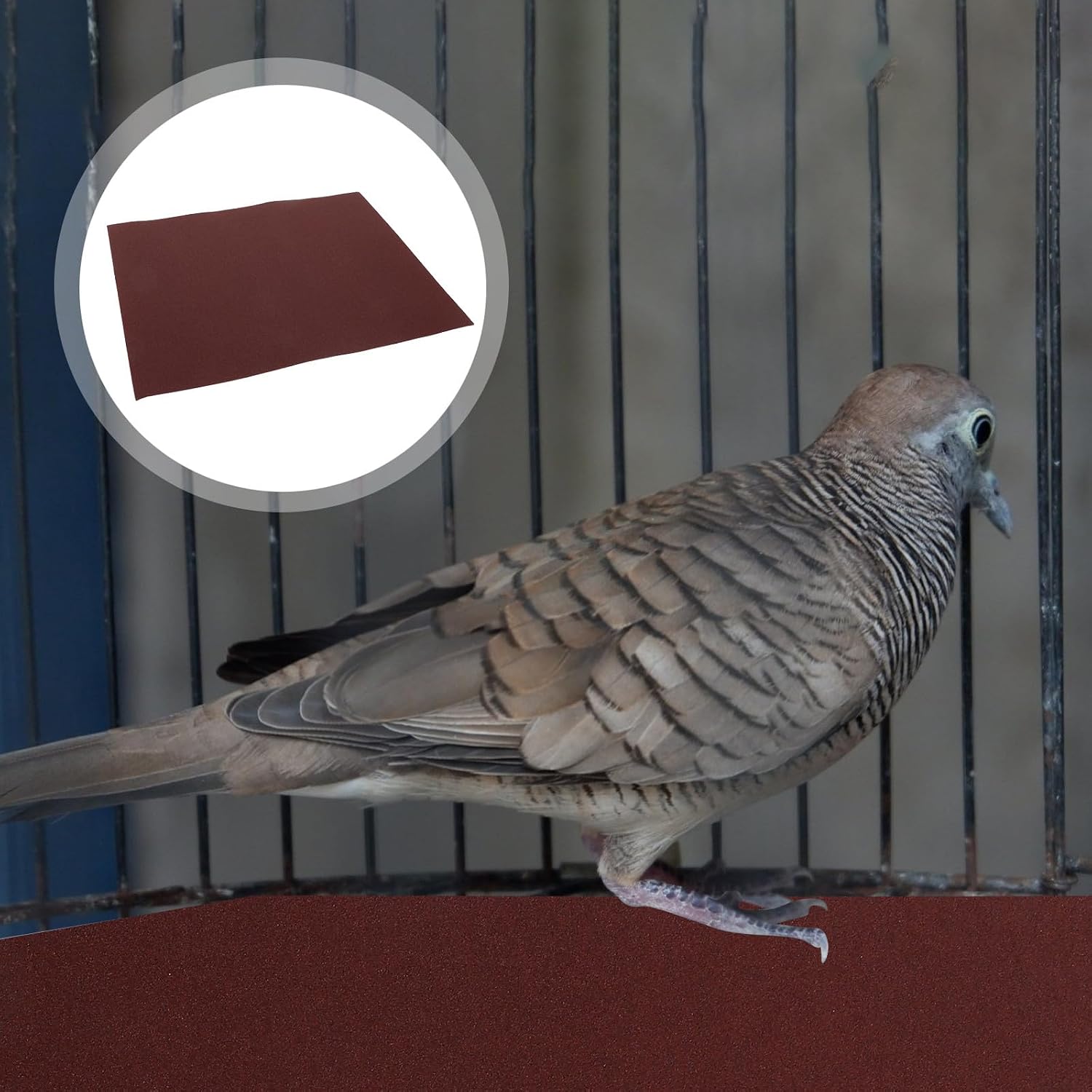 Angoily 20pcs Pet Bird Abrasive Sandpaper Sheets 220x270mm Gravel Liner Paper for Bird Cage Floor Beak and Claw Grinding Suitable for Parrots Cockatiels