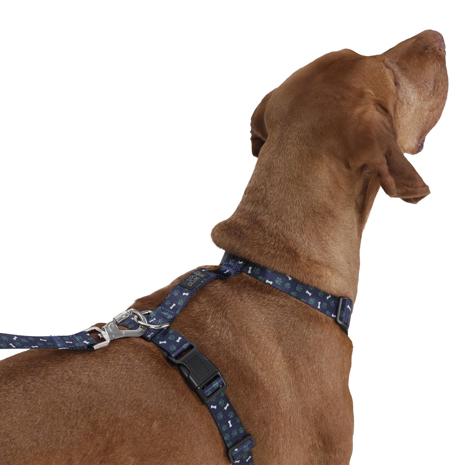 TOTTO, Large Dog Harness, Model Figgo, Size L, Dog Breastplate, Type H, Adjustable, Reduces Pressure in Trachea - Image 4