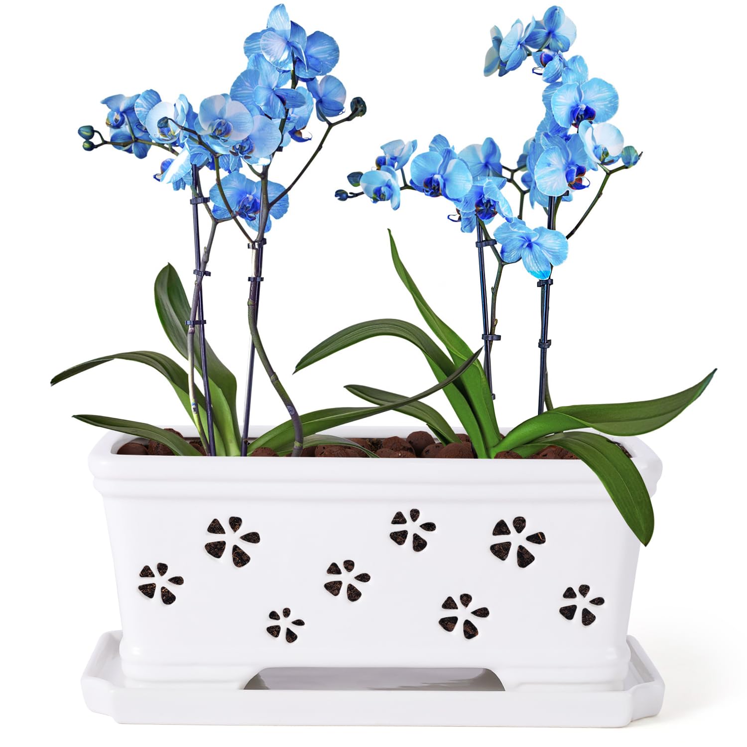 10 Inch Rectangle Ceramic Orchid Pot with Holes & Saucer - White, Effective Drainage & Ventilation for Indoor Orchids