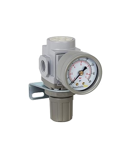 PneumaticPlus SAR200-N02BG Regulador de Presión de Aire Comprimido Miniatura 14" NPT - Soporte, Manómetro