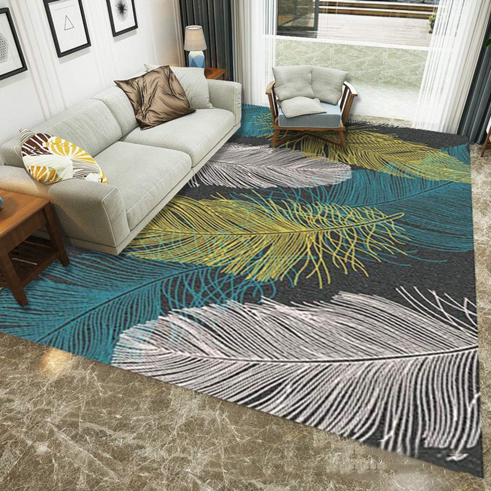 Buy MOXIC Soft Abstract Art Living Room Area Rugs Rectangular Children Crawling Bedroom Rug Fleece Anti-Slip Carpets Nordic Feather Modern Home Decor Mats Indoor Outdoor Runners Nursery 1.3' X 2' — BookShops.in