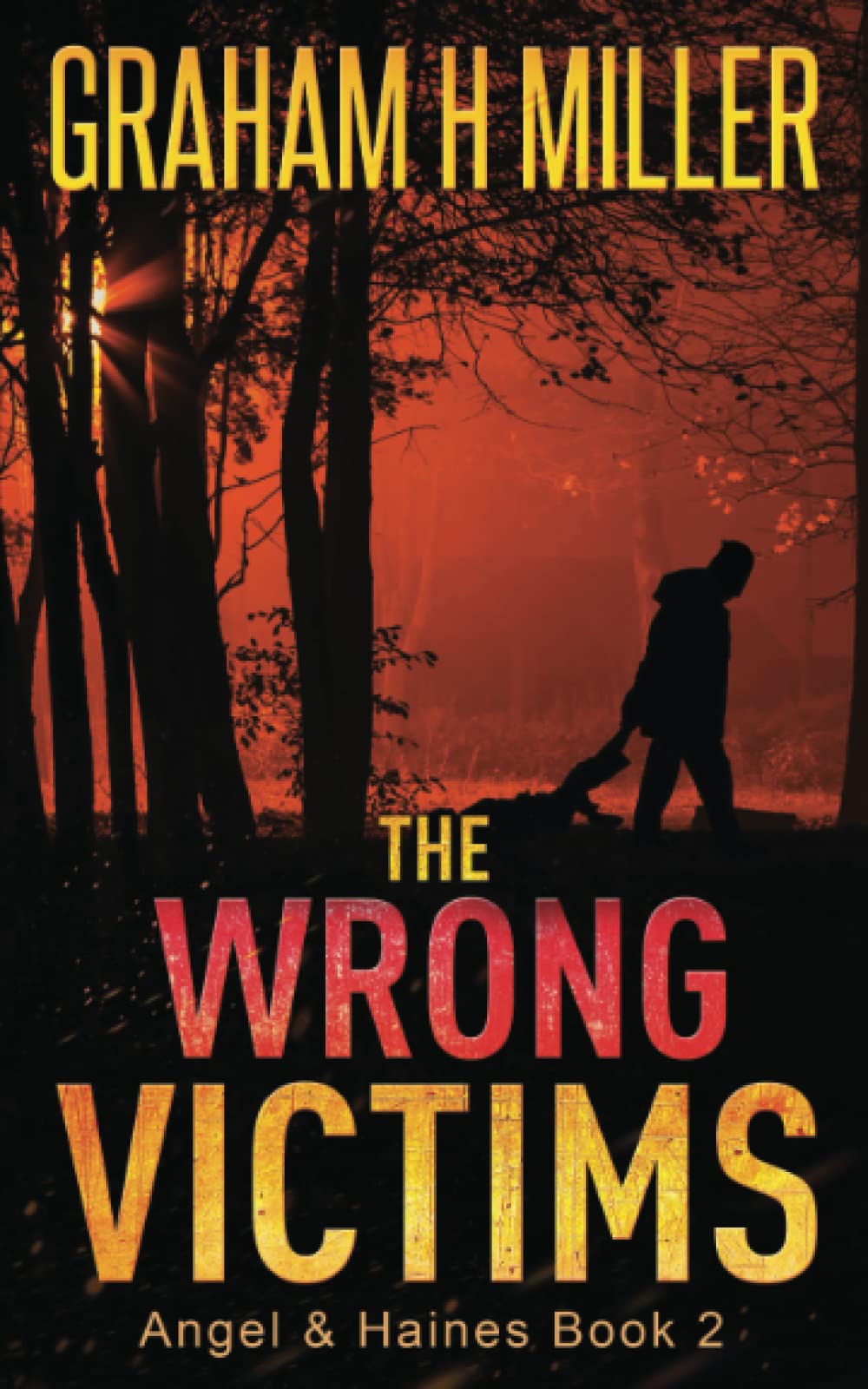 The Wrong Victims: An intriguing murder mystery with a strong female detective (Angel & Haines)