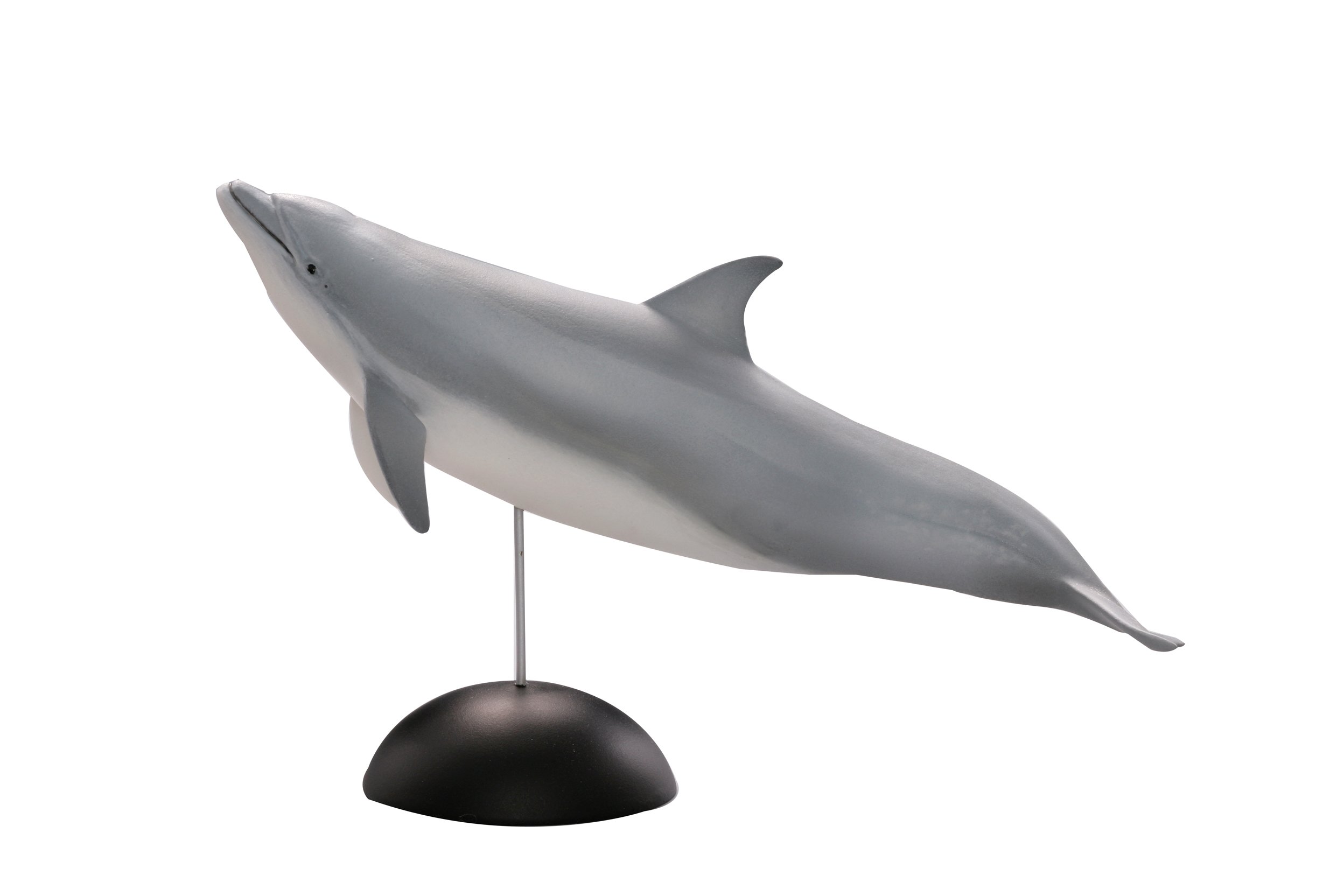 Amazon | 海洋堂 アクアテイルズ ハンドウイルカ 約120mm ポリ