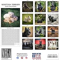 Vista 848 de Razas de Perros 2017