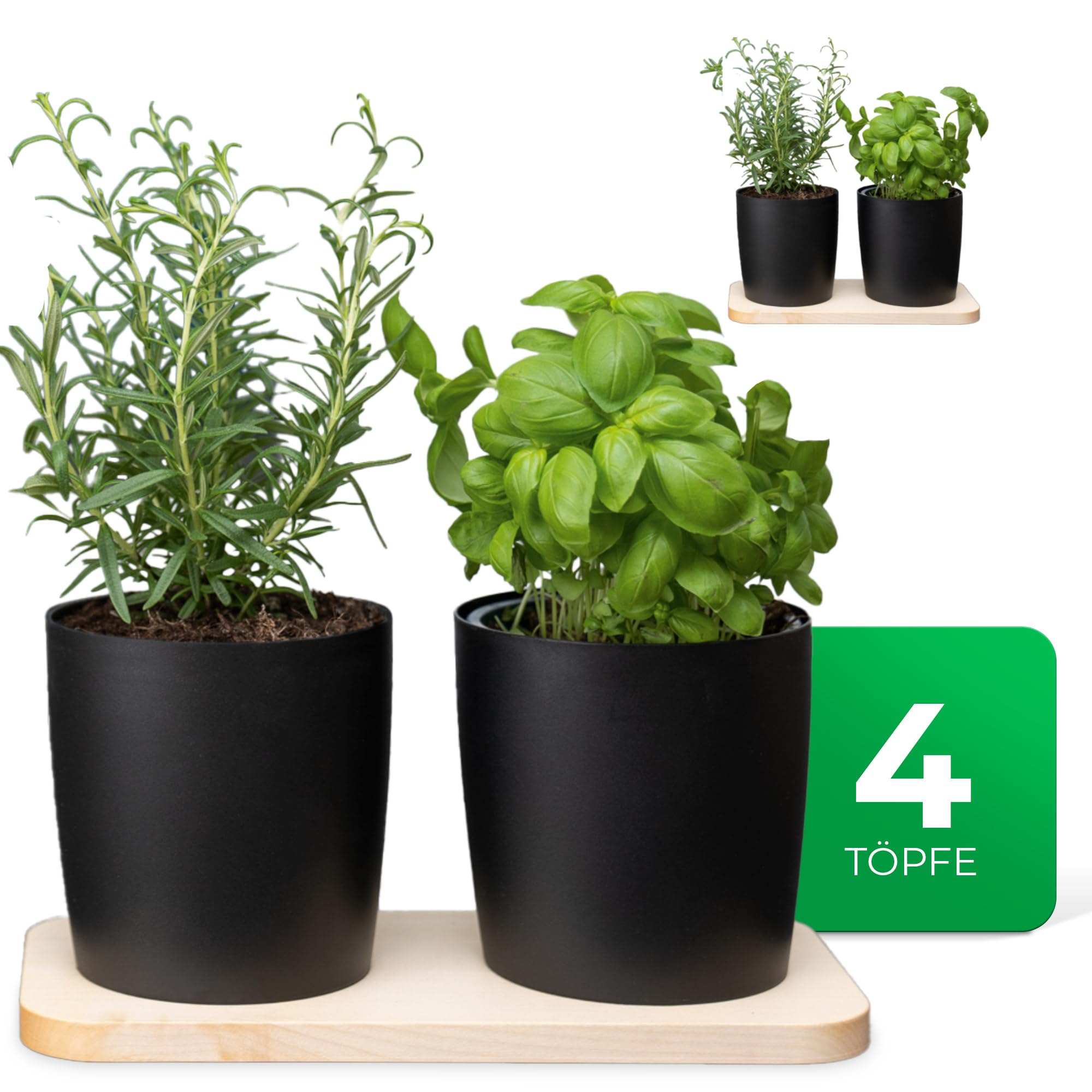 Novaliv Elegante stazione per erbe aromatiche, set da 4 pezzi, con base in legno e 4 vasi per erbe aromatiche per ogni davanzale, per erbe aromatiche fresche, per la cucina, per interni ed esterni,