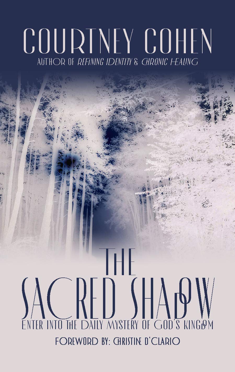 The Sacred Shadow: Enter Into the Daily Mystery of God's Kingdom