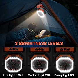 Odoland 30000mAh Oscillating Camping Fan with LED Lantern, Rechargeable Battery Operated, Portable Tent Fan with Timer, 4 Speeds for Outdoor Camp RV Jobsite Power Outage, Orange