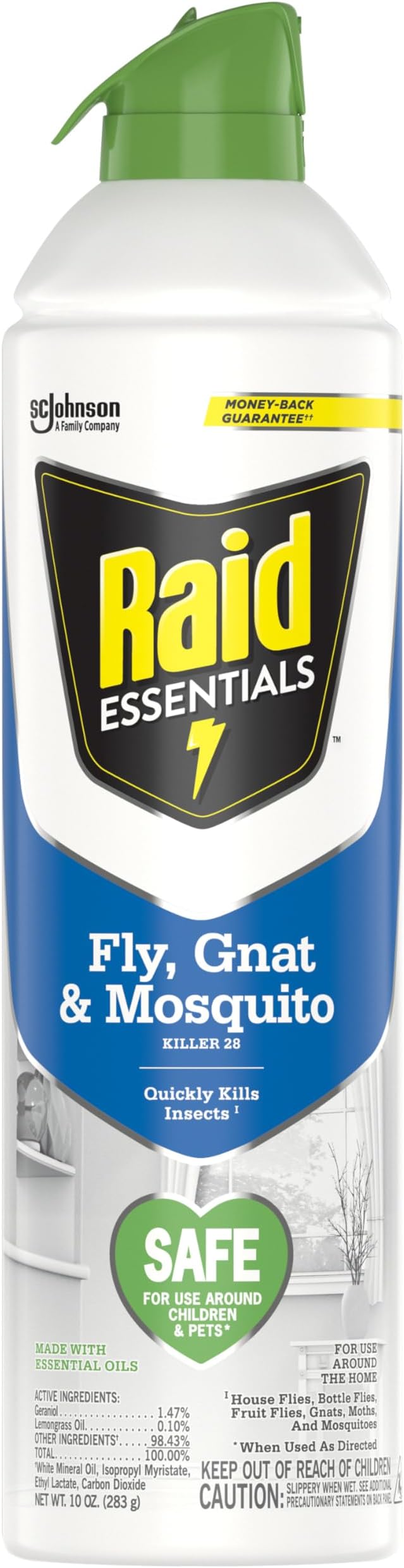 Raid Essentials Fly, Gnat, and Mosquito Killer Aerosol Spray, Safe for Use Around Children and Pets, 10 oz