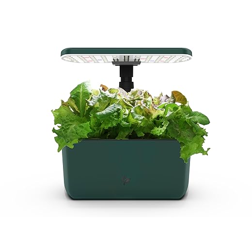 AeroGarden Harvest Lite in Green, Soil-Free Indoor Hydroponic Garden with LED Grow Light for Year-Round Gardening of up to 6 Herbs and Vegetables